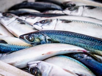 За прошедшую неделю в Приморье и на Сахалине экспорт рыбопродукции увеличился в 8 раз