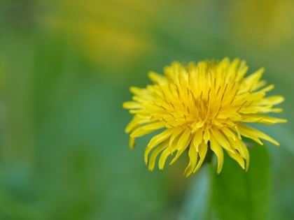 Синоптики спрогнозировали теплую и безветренную погоду в Сахалинской области 31 мая