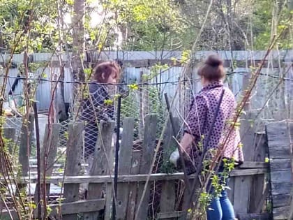 Июнь – пора цветения и финиш посадок. Начало лета теплом не балует, но грядки ждут внимания земледельцев