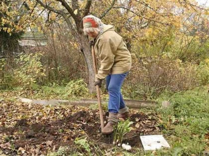 «Белые мухи» уже прилетали. Это знак земледельцам: пора завершать дачный сезон