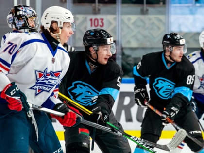 "Динамо-Шинник" - "Сахалинские Акулы". Превью