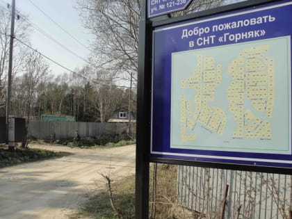 Сеем, веем, посеваем… Сахалинский агроном рассказывает о маленьких хитростях большого урожая