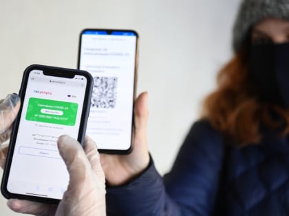 Совет Госдумы снял с рассмотрения законопроект о QR-кодах в общественных местах