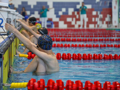 Более двух сотен пловцов вступили в борьбу за медали региональных соревнований