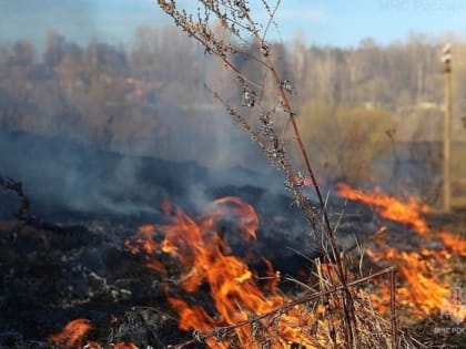 Пожарные за считанные минуты потушили загоревшуюся сухую траву в Макарове