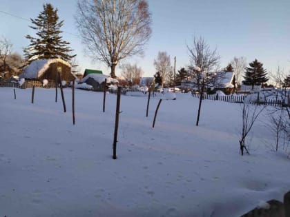 Весна идет – весне дорогу!  Кажется, недавно завершился дачный сезон, но март уже напоминает о «малой посевной»-2023