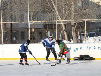 Участники хоккейной акции забросили шайбы в автомобильные шины