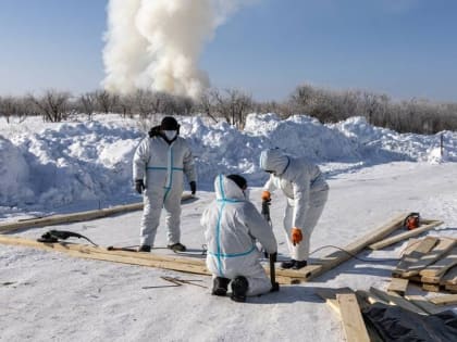 Лаборатории подтвердили высокопатогенный грипп птиц у сахалинских кур