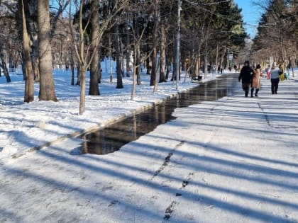 В городском парке Южно-Сахалинска затопило аллею