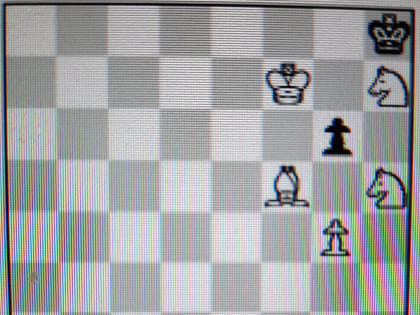 Сахалинские шахматисты «нарешали» пять медалей всероссийского турнира