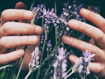 Народные приметы на 25 июля — Проклов день, что нельзя делать