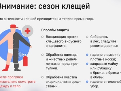 Наступил сезон активности клещей: что делать в случае укуса