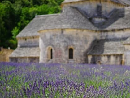 Церковный праздник 19 июля — Собор Радонежских святых, приметы, что нельзя делать