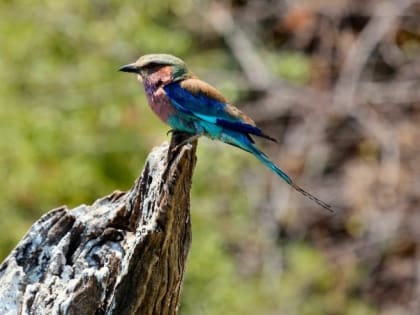 Народные приметы на 13 мая — что можно и нельзя делать в этот день