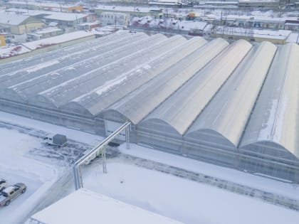 Cиловики нагрянули в сахалинский совхоз "Тепличный"