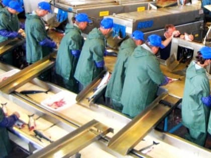 В Корсакове построят рыбоперерабатывающий комплекс мощностью до 500 тонн в сутки