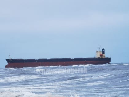 Севшее на мель иностранное судно на Сахалине попало в поле зрения следкома на транспорте