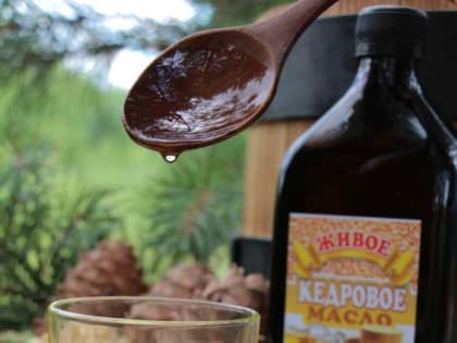 Лучшее растительное масло - кедровое