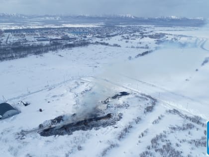 Птицефабрика «Островная» завершила сжигать кур