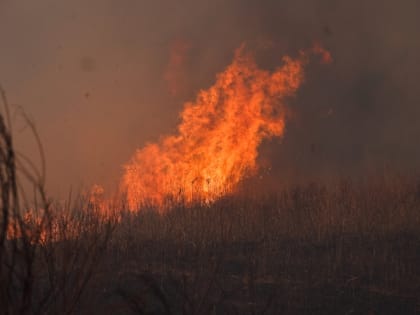 На севере Сахалина в районе озера Горелое полыхала сухая трава