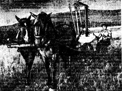 Хроника 1951. (По страницам «Советского Сахалина»)