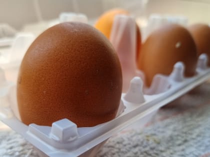 Яйца – минус 26 рублей, молоко – минус 15: в Охе ощутимо подешевел ряд продовольственных товаров