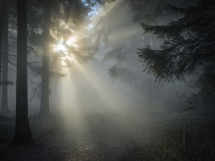 Какой сегодня праздник: что отмечают 13 января