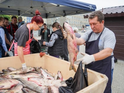 В Корсакове за один день реализовано 3 тонны красной рыбы