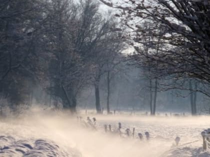 Церковный праздник на 12 февраля 2024 года: народные приметы на Трехсвятие