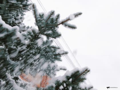 Местами небольшой снег — прогноз погоды на Сахалине и Курилах на 25 февраля