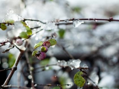 Южный ветер и +3 градуса спрогнозировали в Сахалинской области на 24 марта