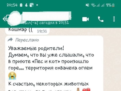 Все детали пожара в приюте «Пес и кот» с места события от корреспондента ИА Citysakh.ru