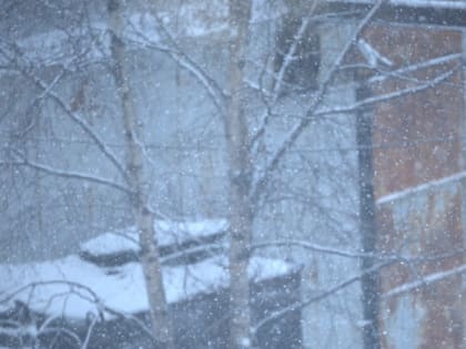 Сильные снегопады: синоптики уточнили прогноз погоды на Сахалине на 26 декабря
