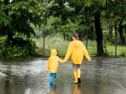 Дожди и северо-западный ветер ожидаются в Сахалинской области 28 апреля
