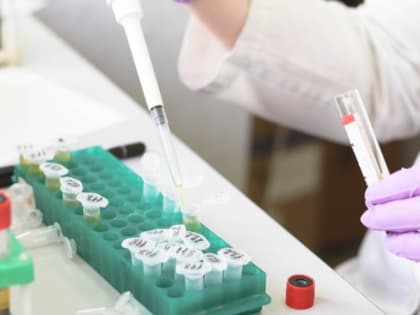 Заболеваемость коронавирусом выросла на 40% за неделю в Сахалинской области