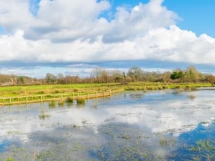 Церковный праздник на 3 марта 2024 года: народные приметы на Овсянки