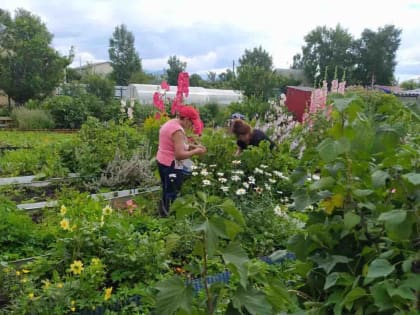 Летом не запасёшь, зимой не принесёшь. Вам в помощь – августовские рекомендации островного агронома