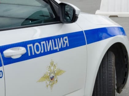 Сотрудники ГИБДД в Поронайске отстранили пьяного водителя от управления иномаркой