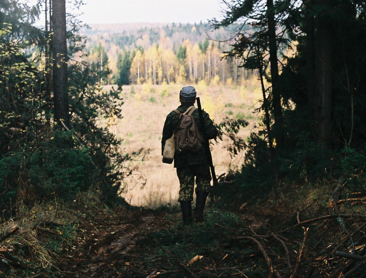 Люди ушедшие жить в лес. Охотник в лесу. Лесничий в лесу. Человек идет по лесу.