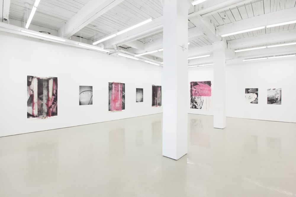 Tamar Halpern, New Works