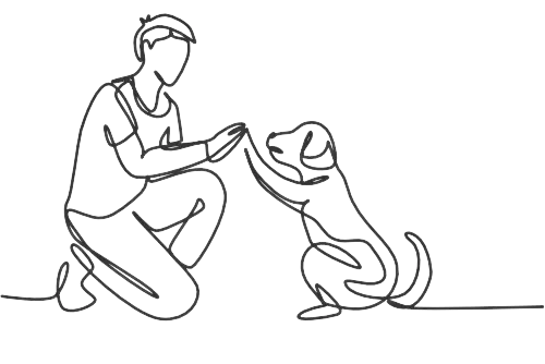 man playing with dog