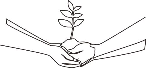 hands with plant