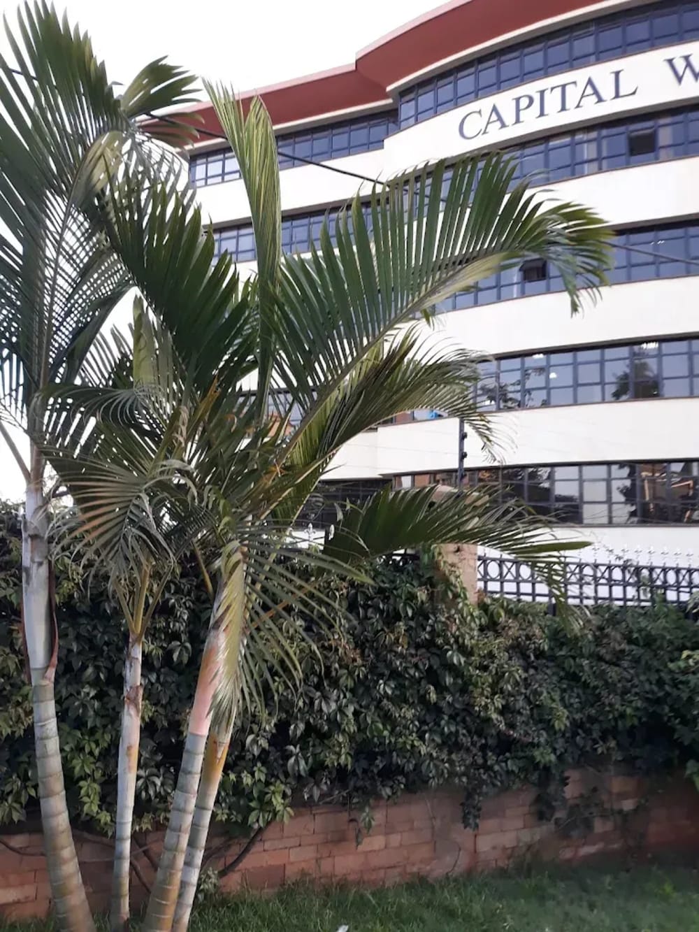 COMMERCIAL OFFICE SPACE TO LET IN WESTLANDS FROM Ksh.302,000 + VAT 4