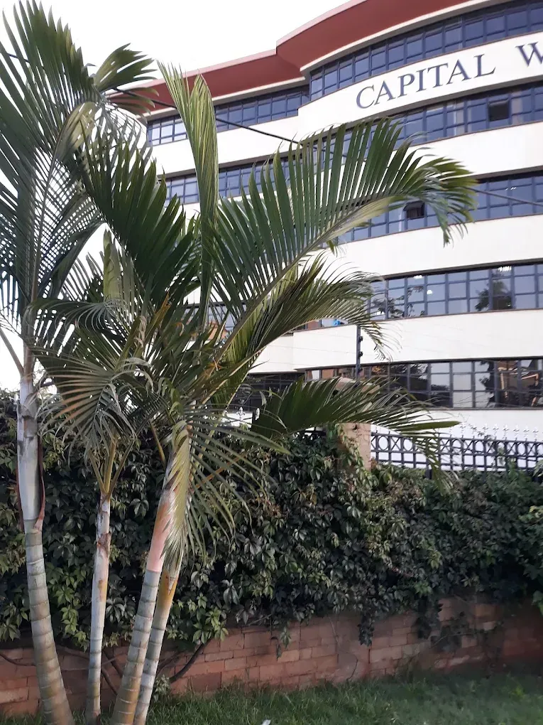 COMMERCIAL OFFICE SPACE TO LET IN WESTLANDS FROM Ksh.302,000 + VAT 4 COMMERCIAL OFFICE SPACE TO LET IN WESTLANDS FROM Ksh.302,000 + VAT 4