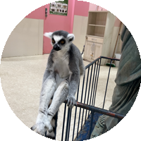 文遊のアバター