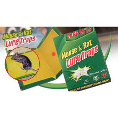 Pułapka Na Myszy Myszołapka Silny Klej Mocna Łapka Lep 12x17 Cm