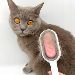 Szczotki Dla Psów Długowłosych Szczotka Do Wyczesywania Kota