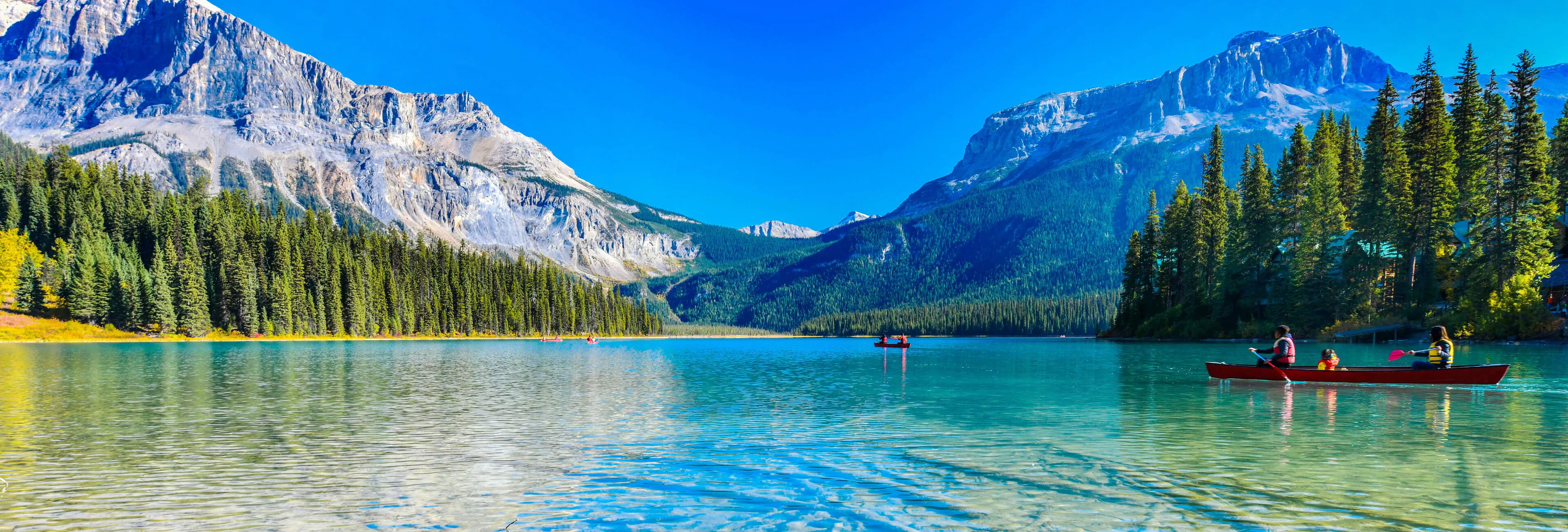 A Healthier World Is A Brighter World