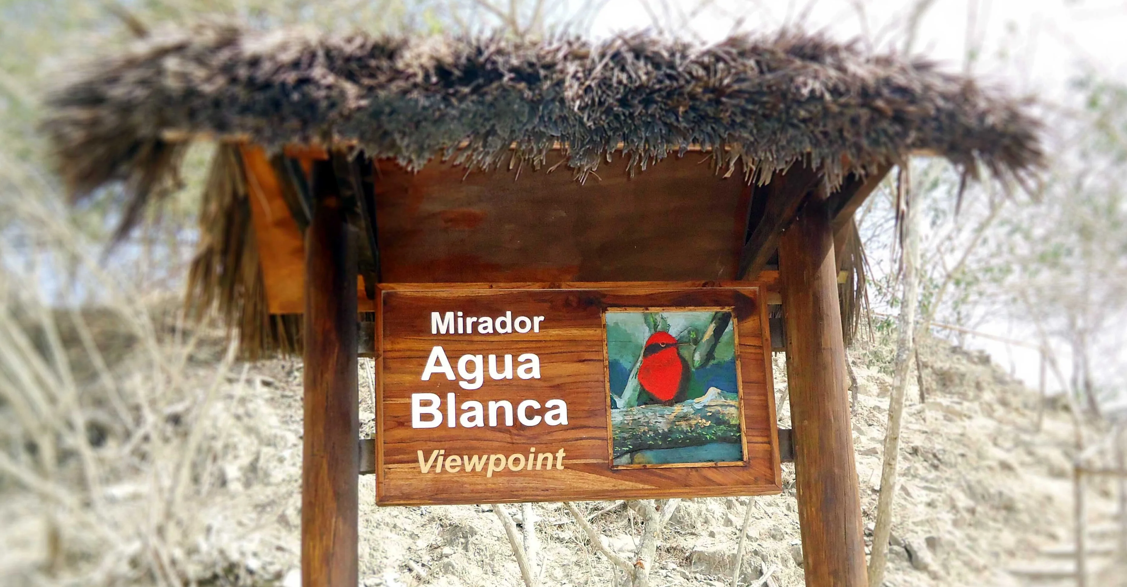 Foto Comuna Agua Blanca