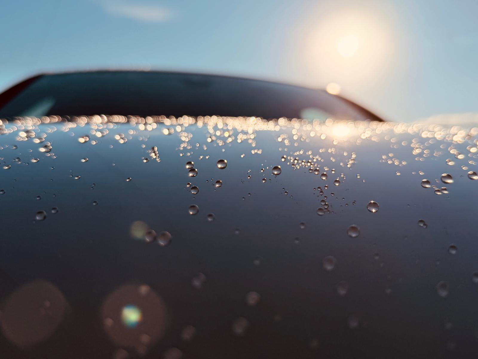 Detailing Exterior detaliu